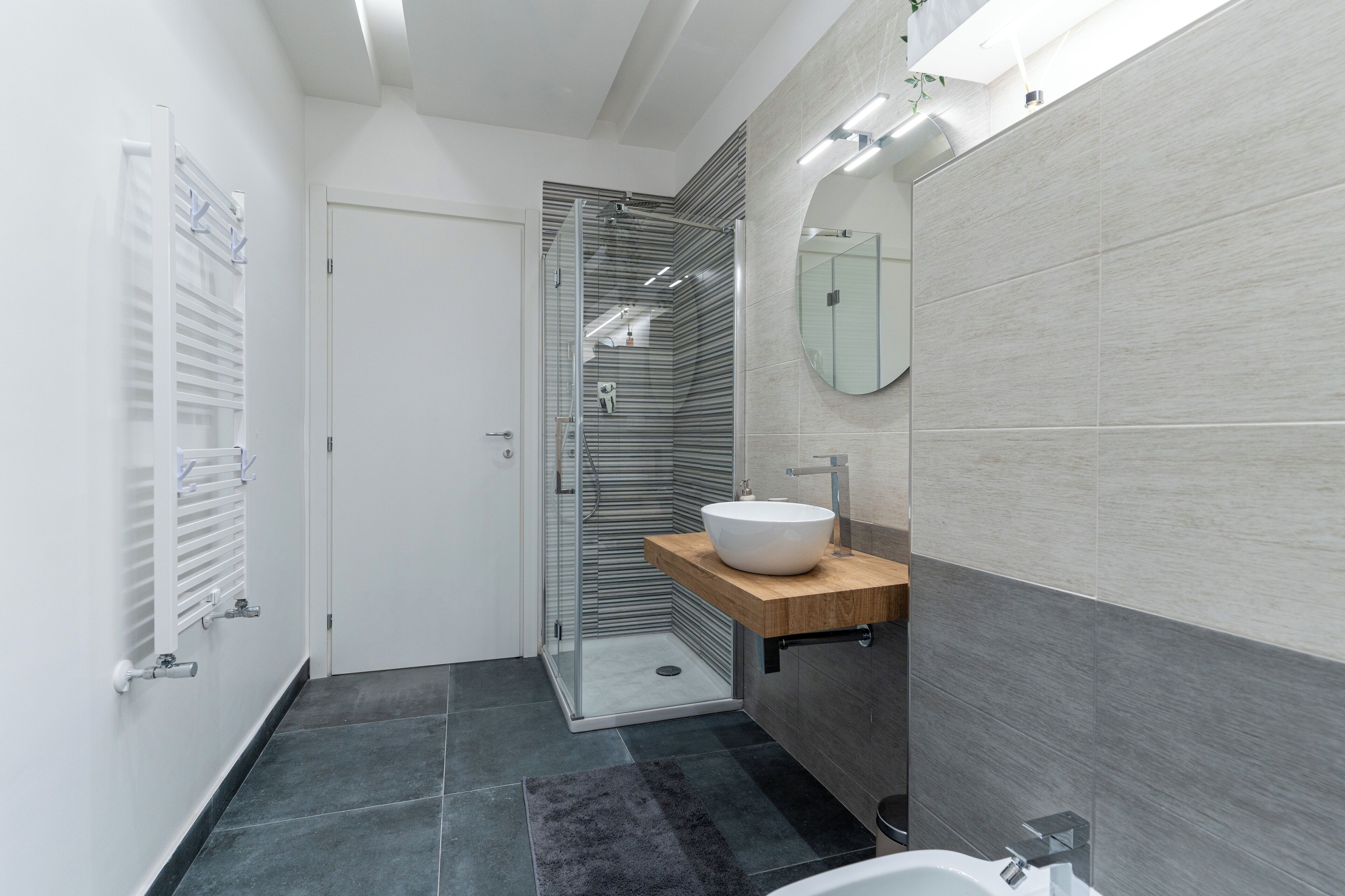 Shower, hair dryer, bidet, towels