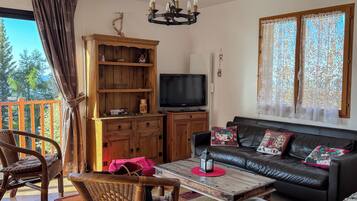 Télévision, lecteur de DVD, livres