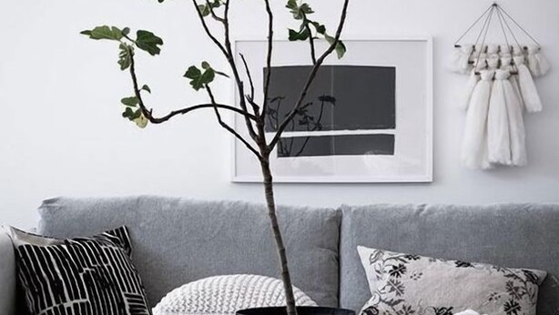 Una sala de estar con un sofá gris, una mesa redonda de centro con una planta en maceta y un cuadro en la pared.