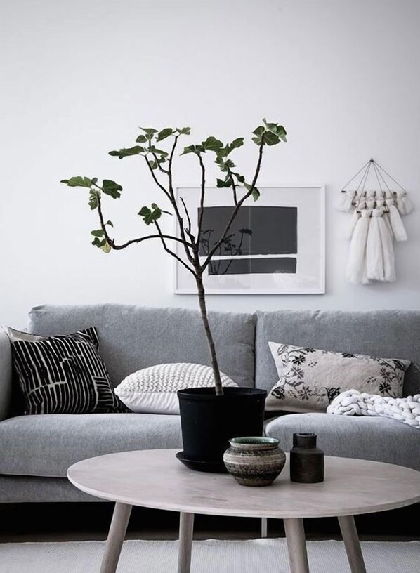 منطقة المعيشة