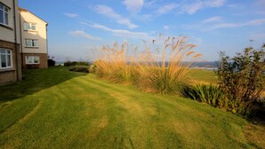 A well-maintained lawn with tall grasses and shrubs, a multi-story residential building, and a clear sky.