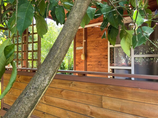 Terrein van de accommodatie