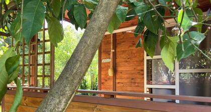 Beach House à Quelques Mètres de la Plage en Corse