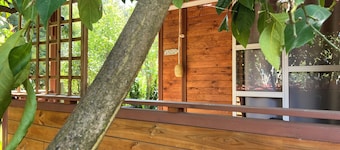 Beach House à Quelques Mètres de la Plage en Corse