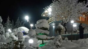 A snowy outdoor area with illuminated trees and a building in the background.