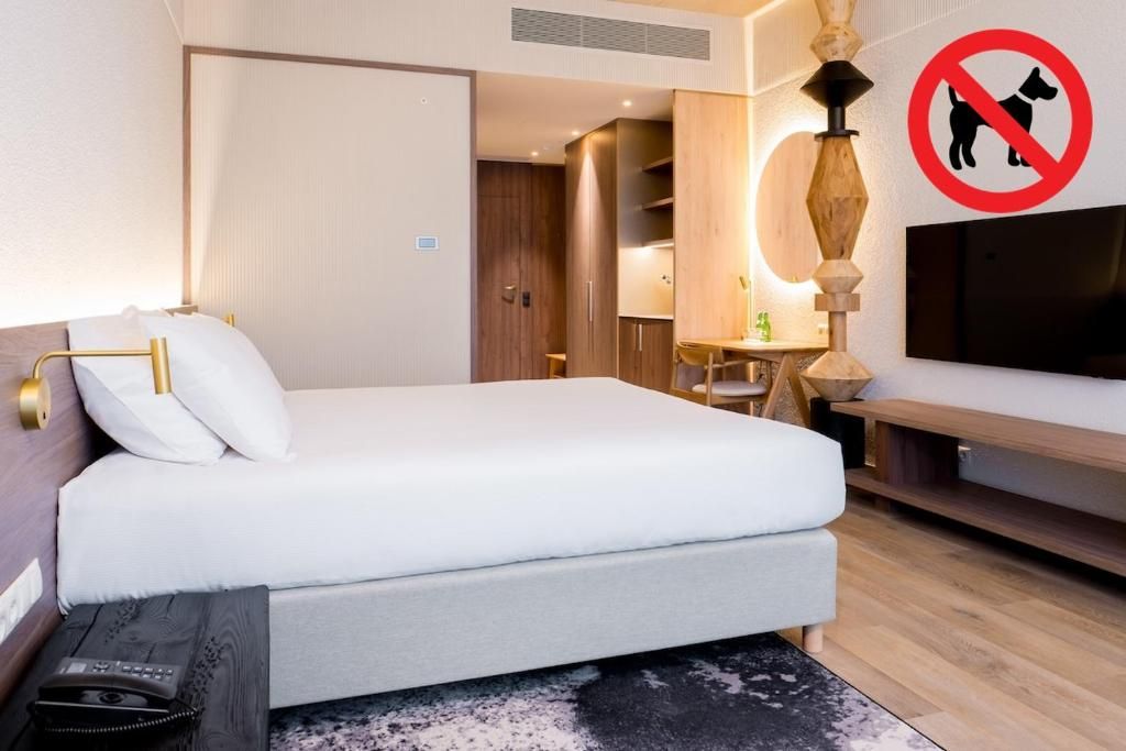 A hotel room with a bed, a TV, a desk, and a no-pet sign.