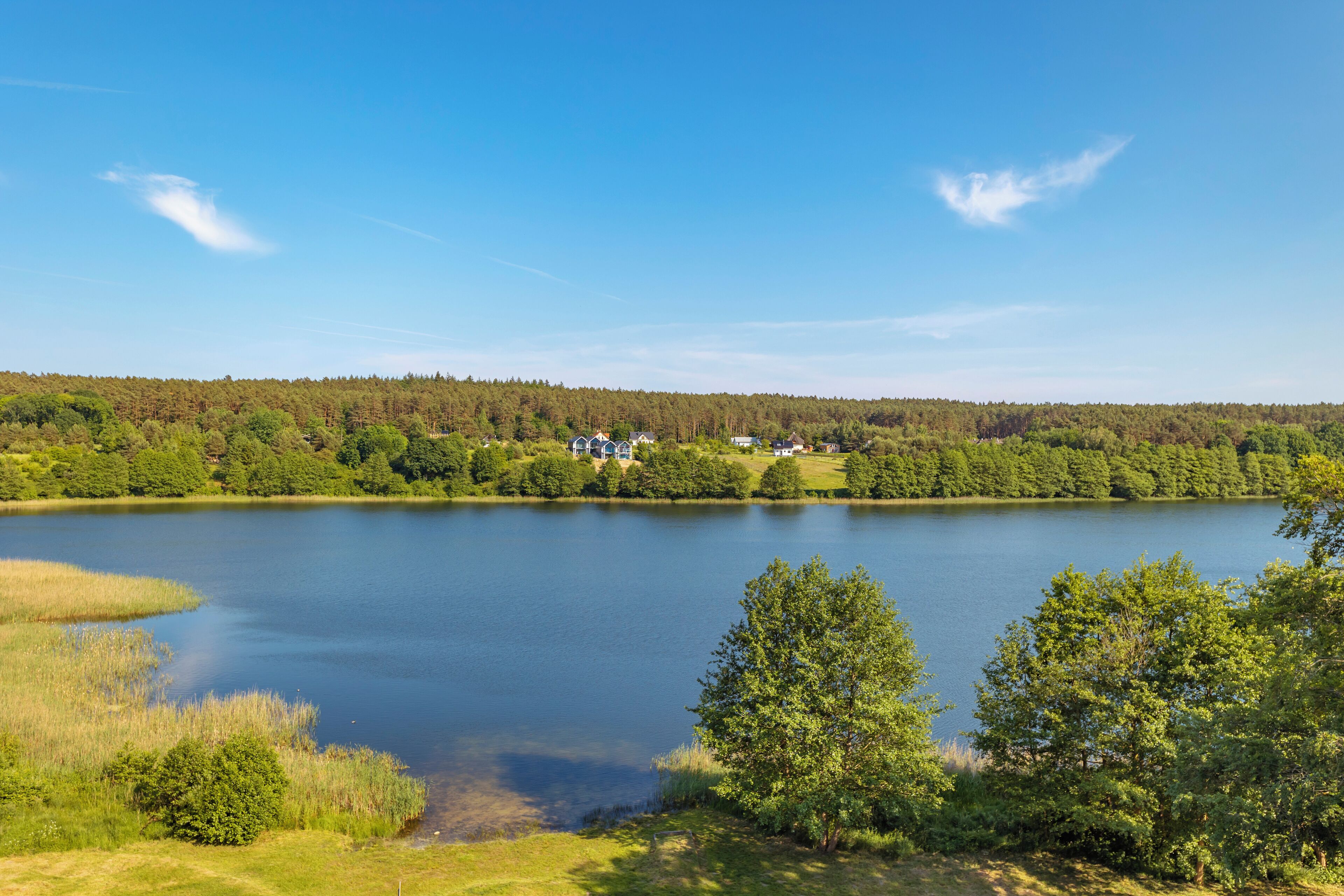 Ein See, umgeben von dichtem Wald und einigen Gebäuden in der Ferne.