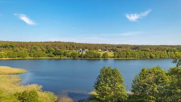 Ein See, umgeben von dichtem Wald und einigen Gebäuden in der Ferne.