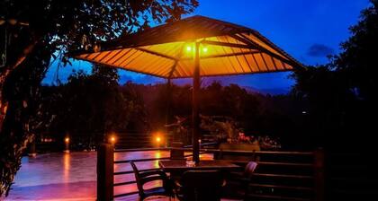 Rainforest Lodge