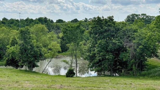 Un paisaje natural con un río, árboles frondosos y una zona cubierta de hierba.