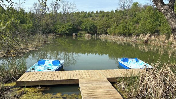 A wooden dock extending into a calm pond with two blue boats moored at the end.