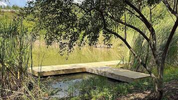 Ćreas de la propiedad