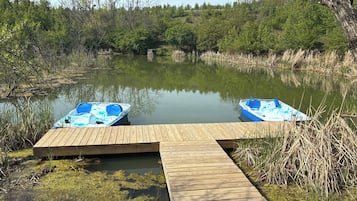 A wooden dock extending into a calm pond with two blue boats moored at the end.