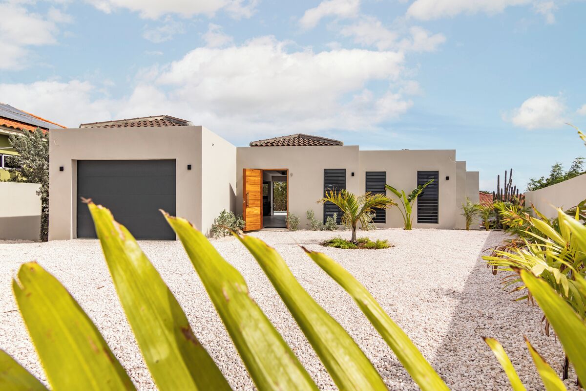 A modern house with a driveway, a garage, and a small garden area with plants.