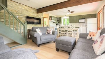 Smart TV, fireplace, books