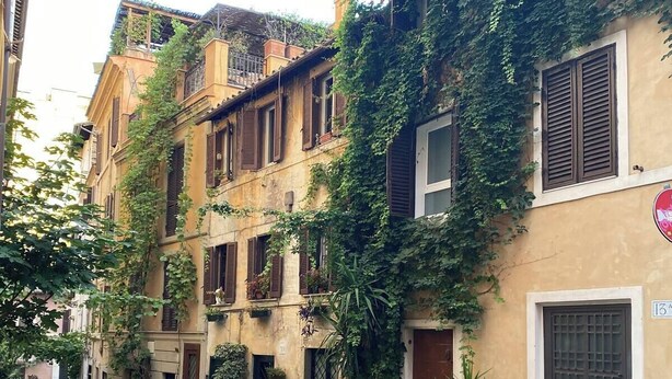 Eine gepflasterte Straße gesäumt von historischen Gebäuden, manche mit Efeu bewachsen und mit traditionellen Fensterläden.