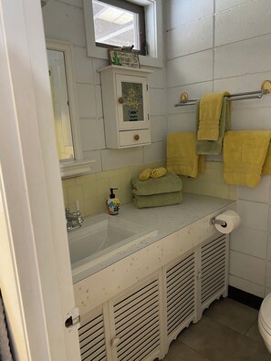 Hair dryer, towels, soap, toilet paper - Charming Lakefront Studio Condo (Laconia)