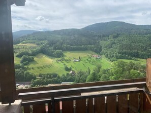 View from property - Hotel schauinsland (Bad Peterstal-Griesbach)