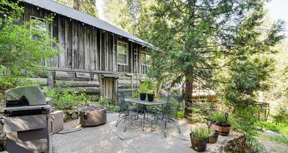 8 Mi to Yosemite National Park: Cabin w/ Fire Pit