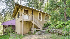 A wooden cabin with a porch and stairs, surrounded by trees and greenery.