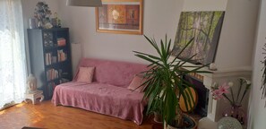 Smart-tv, dvd-afspiller, bøger
