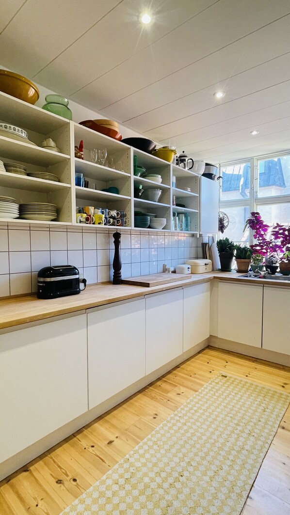 Fridge, oven, stovetop, dishwasher