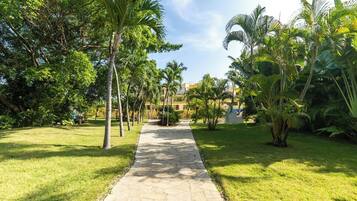 A pathway flanked by lush greenery and palm trees, leading towards a building with a modern architectural style.