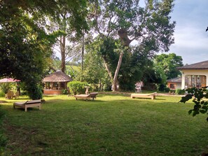Garden - Ruwenzori View Guesthouse  (Fort Portal)