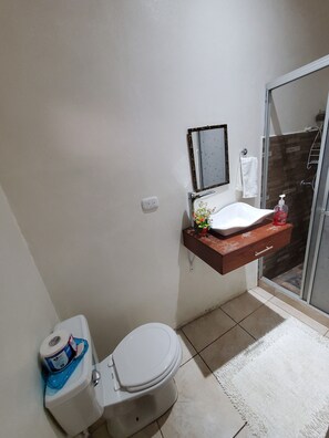 Chambre Simple | Salle de bain | Serviettes fournies, savon, shampoing, papier toilette