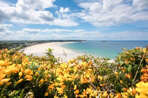 A beach with clear turquoise waters and a sandy shore, surrounded by lush greenery and yellow flowers.
