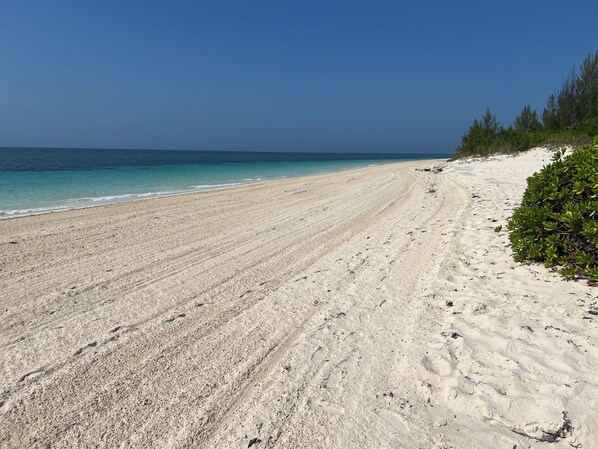 Enjoy the serene beach with fine sand and calm waters, surrounded by lush greenery.
