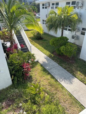 Stroll through the beautifully landscaped grounds, surrounded by lush greenery and a majestic palm tree.