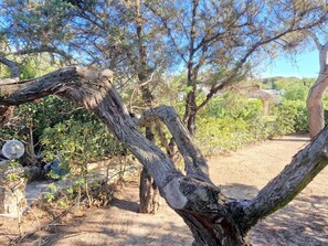 Property grounds - Villa Hibiscus, peace and relaxation (Notteri)