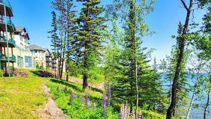 A residential area with a pathway leading to a building with balconies, surrounded by lush greenery and trees. - Lakefront Condo: Pool, Hot Tub, Deck, Fireplaces (Two Harbors)