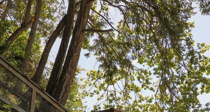 OCEAN FRONT/BEACH access, RENOVATED House Private Lot, PET Friendly, Short Term