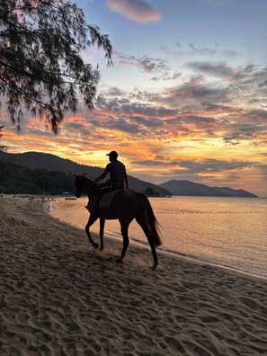 Iemand rijdt op een paard langs een strand, met een zonsondergang op de achtergrond.