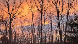 A wooden staircase leading into a snowy forest with bare trees and a sunset in the background. - Family Friendly Log Cabin Nestled in Blue Ridge Foothills (Stuarts Draft)