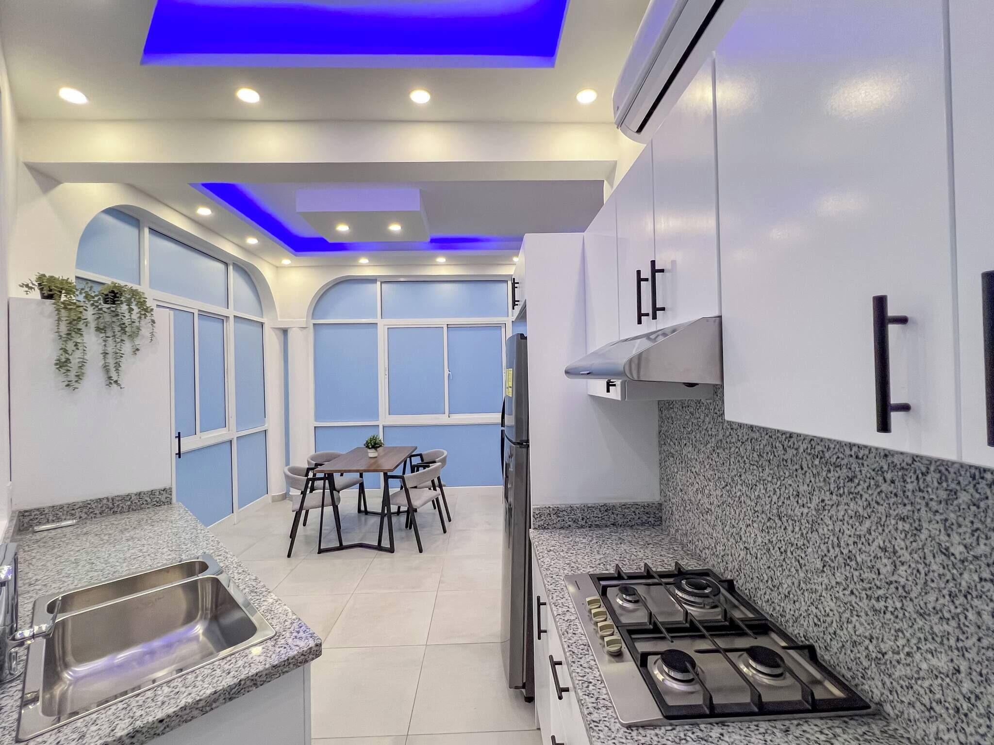Appartement, 1 chambre, terrasse, vue ville | Cuisine privée