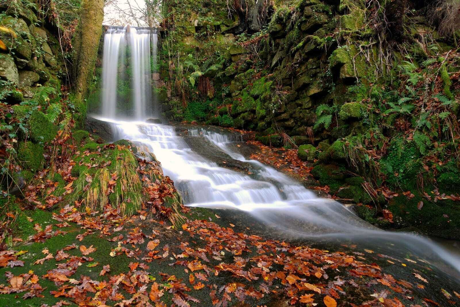 A waterfall in a forested area with moss-covered rocks and fallen leaves.