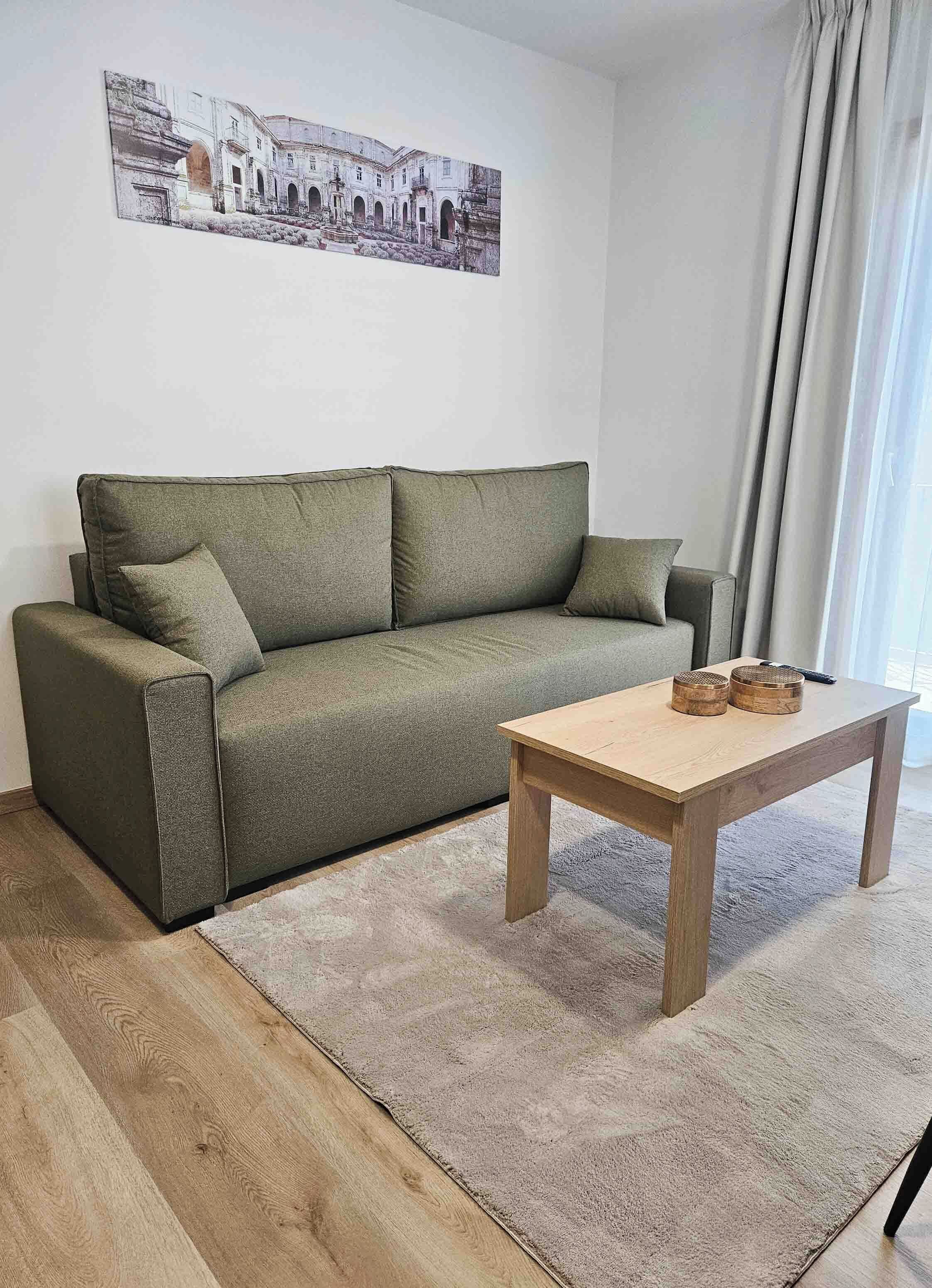 A living room with a green sofa, a wooden coffee table, and a rug.