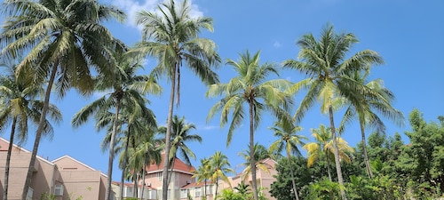 Fisherman's Point Ocho Rios
