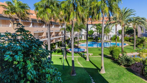Ein HotelInnenhof mit Palmen, einem Swimmingpool und einem gepflegten Rasen.