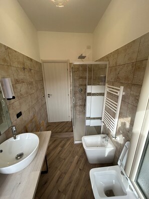 Shower, hair dryer, bidet, towels