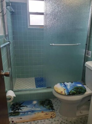 Hair dryer, towels, soap, toilet paper - Private Bedroom, Bath with Private Entrance in a House in Little Havana, Miami (Miami)