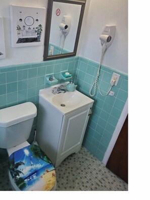 Kylpyhuone, jossa on wc, pesuallas ja seinälle asennettu hiustenkuivaaja.