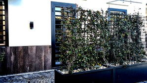Unclassified image, 4 of 98, button - Ercolano Luxury Suite (Ercolano)