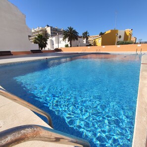 Une piscine aux eaux cristallines, bordée de carreaux, avec des bancs disposés le long du bord et un palmier en arrière-plan.