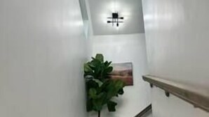 Un escalier aux murs blancs, avec une rampe en bois et un pot de fleurs.