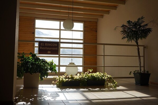 Téléviseur à écran plat de 20 po avec télévision par satellite