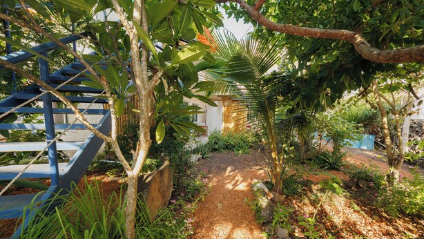 Ein Gartenweg mit einer blauen Metalltreppe auf der linken Seite, umgeben von üppigem Grün und einer Palme.